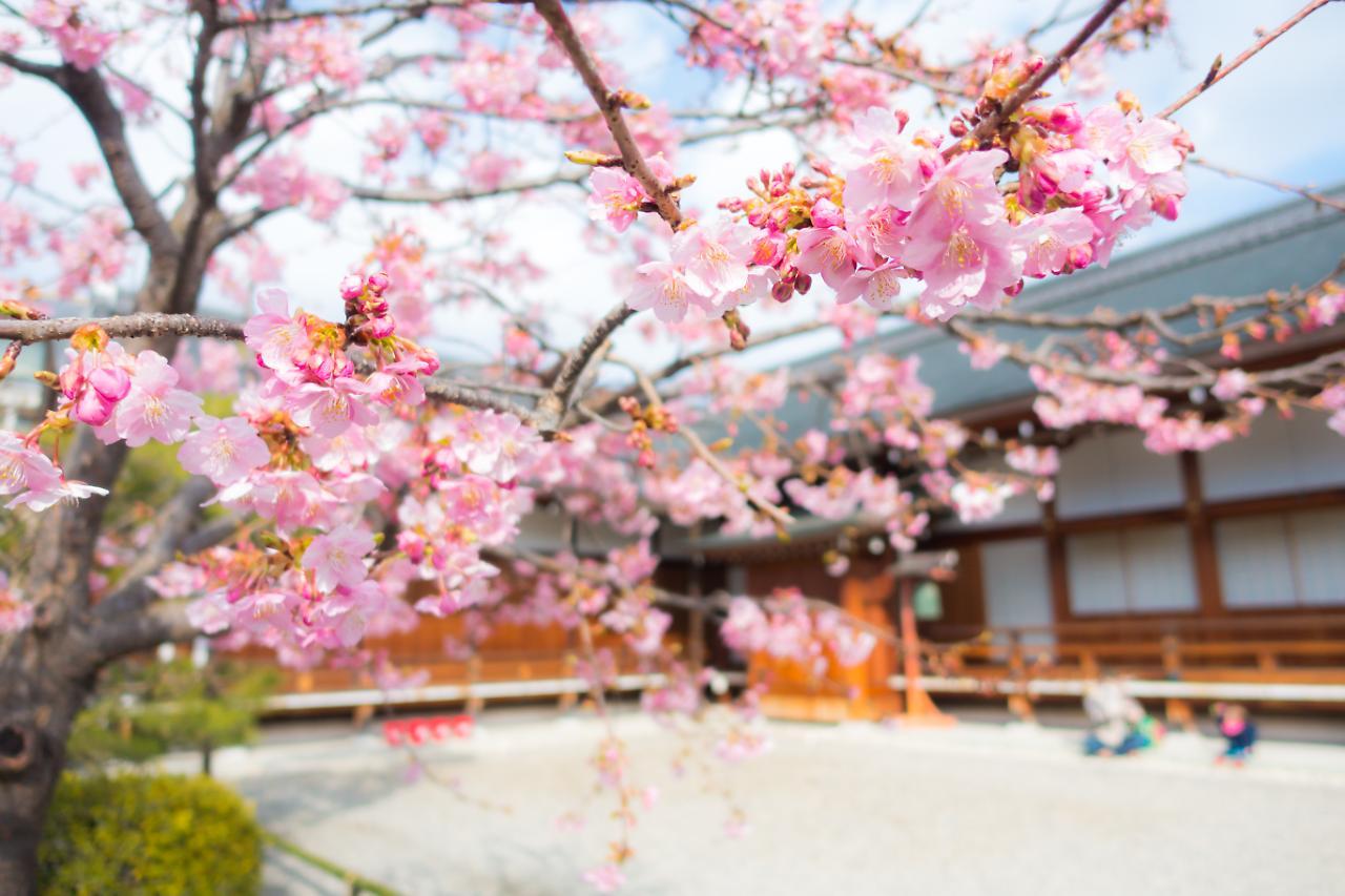 Stay Sakura Kyoto Shijo Karasuma Exterior photo
